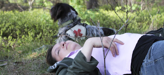 Hund bei vermisster Person